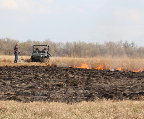 Prescribed burn on grasslands in Kansas