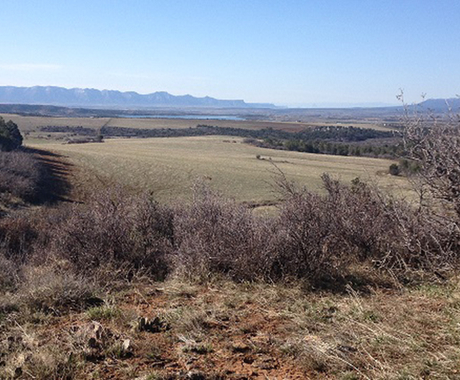 Photo of land in Colorado