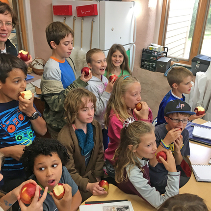 Students eating apples