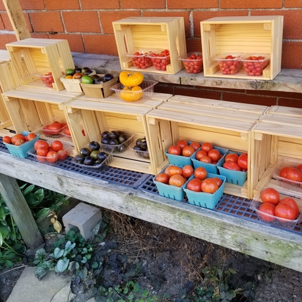 A variety of vegetables, mainly red and some yellow tomatoes sit in plastic or paper containers inside wooden crates