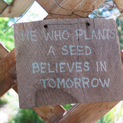 Sign saying he who plants a seed believes in tomorrow