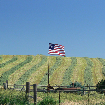 Flag on farm fence