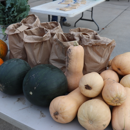 Produce on a table at a farmers market - including pumpkin and squash