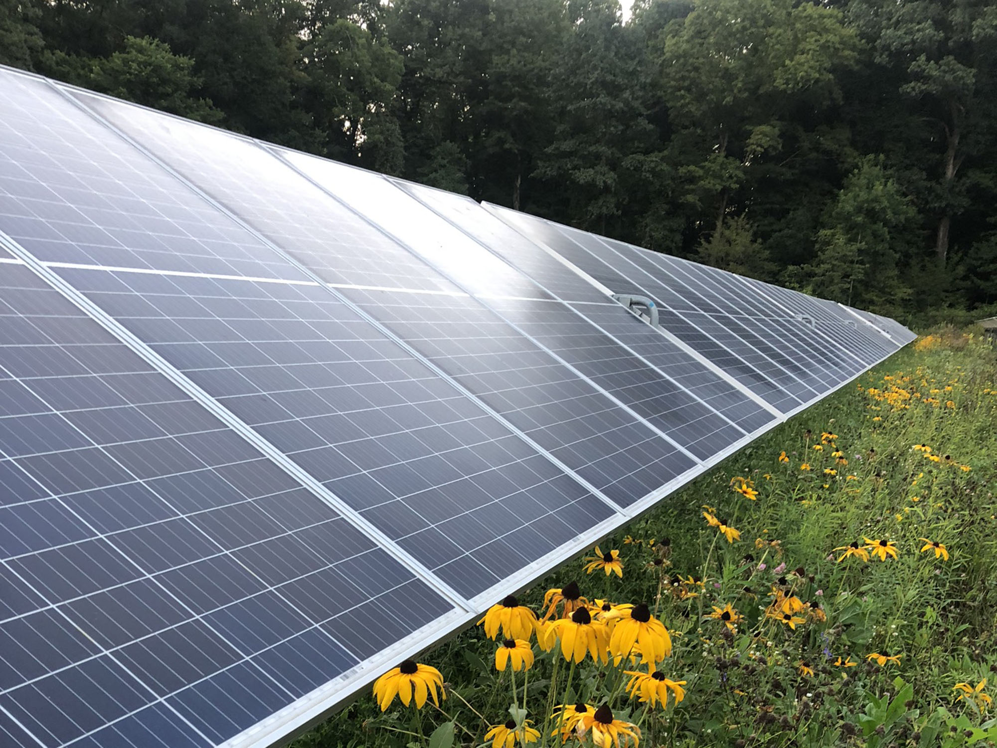 expanding-iowa-s-solar-tax-credit-seen-as-economic-boost-during-crisis