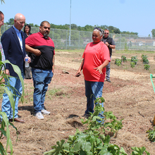 Three men and a woman pointing at plants in a garden