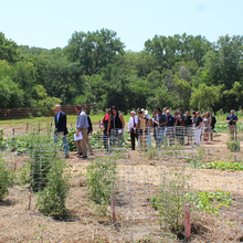 A group of people walking through a 7-acre garden