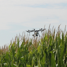 Drone vuela sobre un campo 