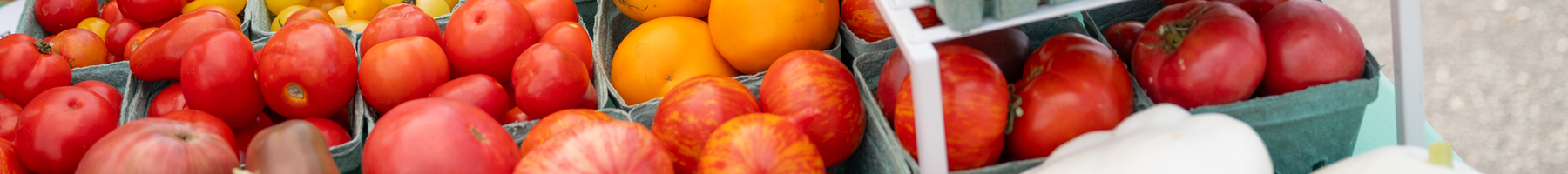 There are yellow, orange, and red tomatoes of various sizes in light green baskets on a table top. In the front right corner, there are two white gourds. 