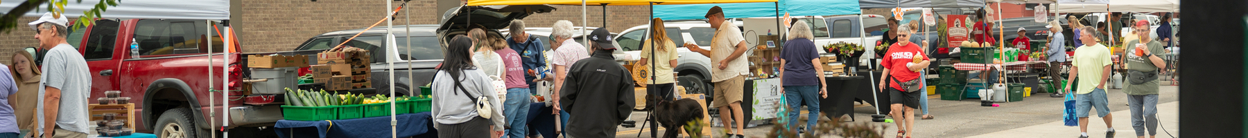 A farmers market, with multi-colored tents and people moving around.