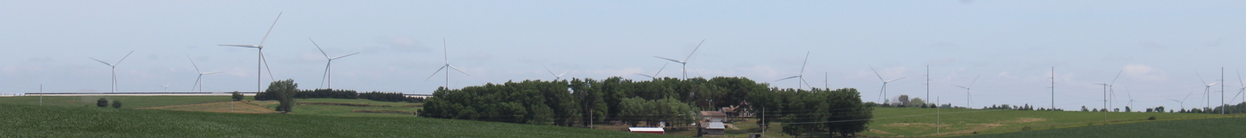 Wind farm and corn field