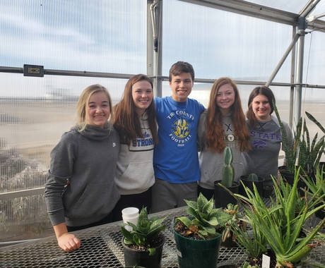 Five teenagers, two girls on the left, boy in the middle, two girls on the left. Plants on a table in front of them.