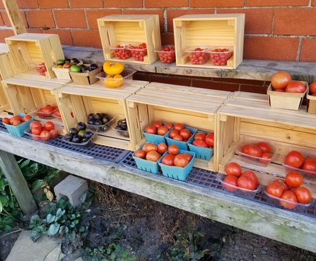 Una variedad de verduras, principalmente tomates rojos y algunos amarillos, se encuentran en recipientes de plástico o papel dentro de cajas de madera.
