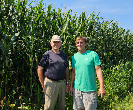 Two men stand in front of a tall, green cornfield. The man on the left wears khaki pants, a dark grey t-shirt, and a khaki cap over his white hair. The man on the right is younger and wears a green t-shirt and khaki shorts. The cornfield towers over them by 18-24 inches.