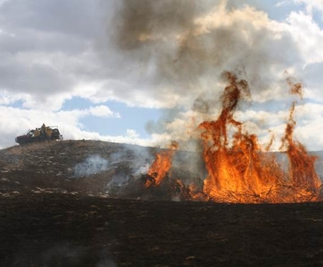 Controlled burn on a field