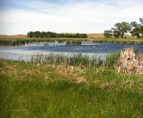 Sandhills conservation with a water source