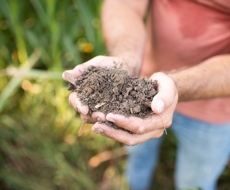 A person holding a handful of soil 