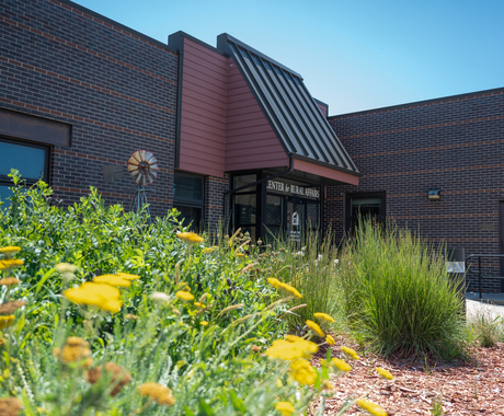 The Center for Rural Affairs Lyons office building, with yellow yarrow flowers in the foreground and native grasses. The building is a one-story red brick building with black and dark red tin over a glass doorway that says "Center for Rural Affairs"