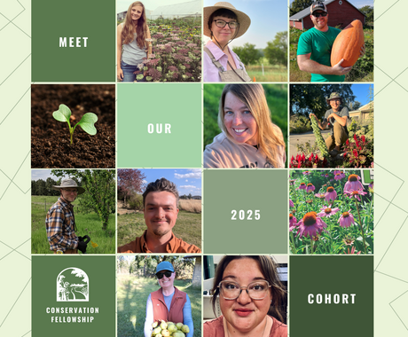 Grid-style announcement graphic introducing the 2025 Conservation Fellowship cohort. The design features 12 square sections arranged in a 4x4 grid with alternating photos and green blocks of text. Photos include smiling fellows in outdoor and farm settings, flowers, a seedling sprout, and a Conservation Fellowship logo. Text blocks read “MEET OUR 2025 COHORT.” The background is a pale green with a subtle line pattern.