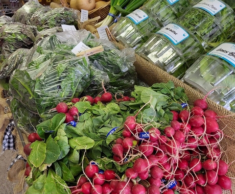 A table in a store with a pile of radishes and fresh greens behind it. 
