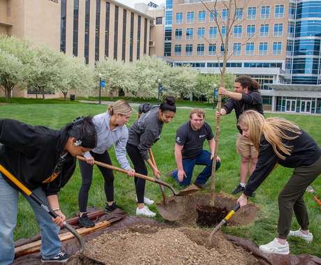 Six college-age students plant a tree in front of the Eppley Building College of Arts & Sciences. Four women are scooping dirt back into a hole with shovels as two young men hold up a small tree. 