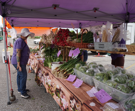 A woman wearing a purple t-shirt and jeans stands under a lavender tent and looks at vegetables on shelves.