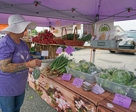 Mujer con camiseta morada y sombrero blanco flexible empacando judías verdes mientras mira una hilera de verduras en un puesto del mercado de agricultores