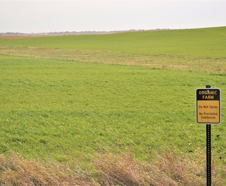 Campo agrícola con letrero que dice granja orgánica: no rocíe
