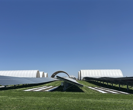 a photo of solar panels with grass and plants underneath with six white hoop houses in the background.