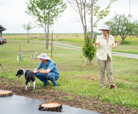 Two adults wearing sun hats work outdoors on a grassy farm landscape; one crouches beside a black-and-white dog near a mulched planting area, while the other stands nearby gesturing as if explaining something. Trees, open fields, and a rural path are visible in the background.