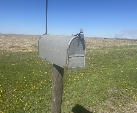 A beat-up gray mailbox on a weathered post. The mailbox says "U.S. Mail" on the front. In the background is a ditch with short green grass and a lot of dandelions and a harvested field with a clear blue sky.