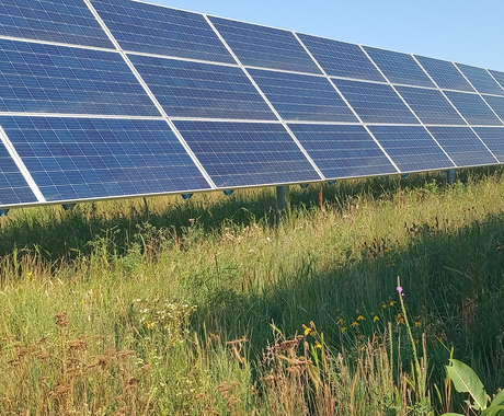 A solar array stands in a pasture with native grasses and plants. The sky is clear and blue.