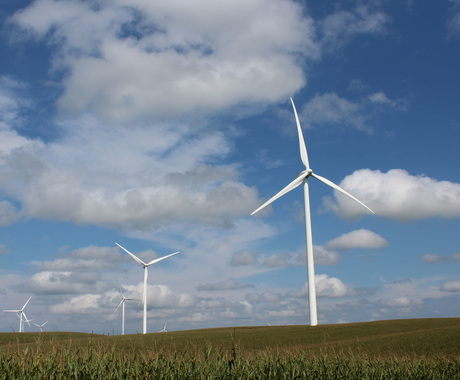 Wind turbines in a farm field surrounded by crops.