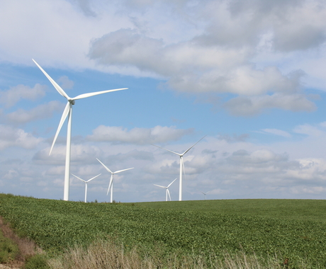 Cinco turbinas eólicas situadas en un campo de soja verde con un cielo azul y nubes esponjosas de color grisáceo