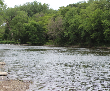 Photo of a river. On the bank closest to us is sand and large rocks. On the bank opposite the water are full decidious trees. The river is a dark color and has ripples.