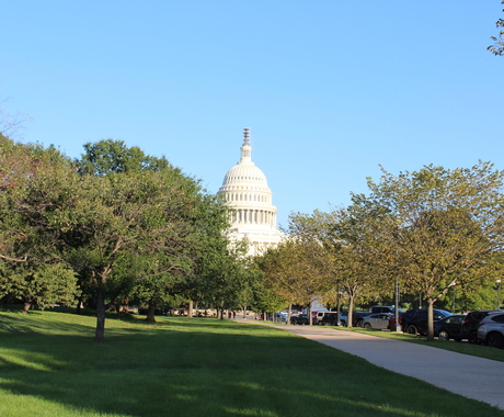 The U.S. Capitol building - you can see the top 1/3 of it, in the foreground is a wide sidewalk, a row of cars, and green/yellow trees lining the sidewalk