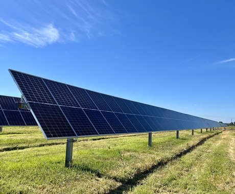 Solar arrays sitting in a field under a blue sky.