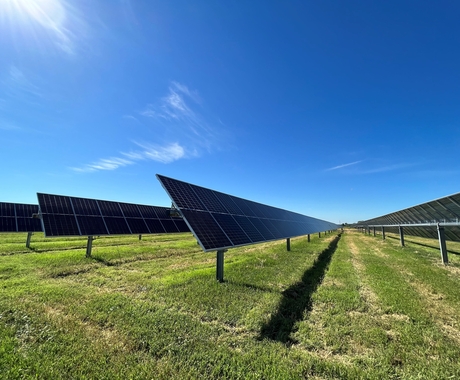 solar panels in grass