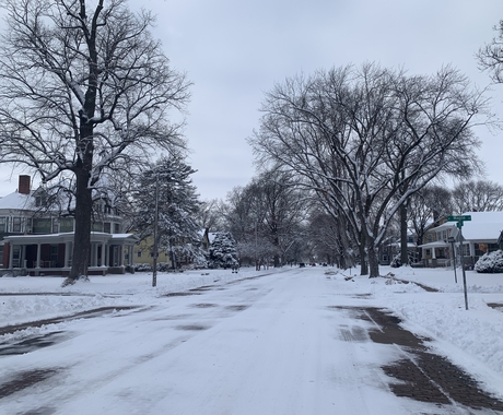 A road and trees covered in snow with houses on either side of the street