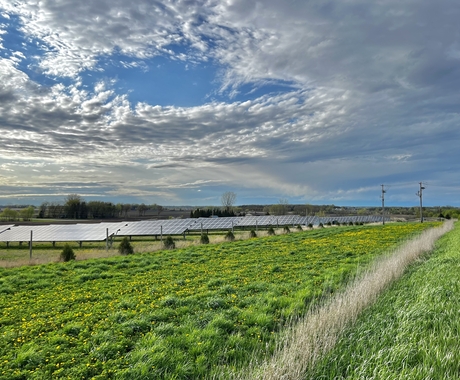 A photo looking down the length of a solar panel array. Green grass and a blue, scenic sky.