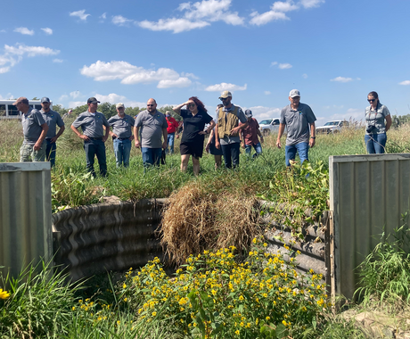 A group of 12 stand in a field of tall grass and weeds surveying a grade stabilization drop structure near Shell Creek. Many wear jeans and baseball caps. The sky is blue and filled with fluffy white clouds. At the front of the image, we see the grade stabilization drop structure, which appears to be a retaining wall of sorts. Yellow wildflowers grow among the weeds and grasses. 