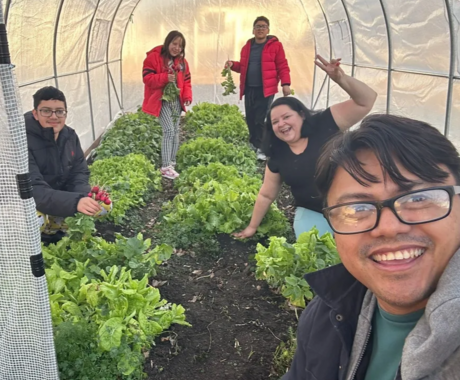 Sandra Lopes and his family are pictured in their hoop house, picking lettuces and radishes.
