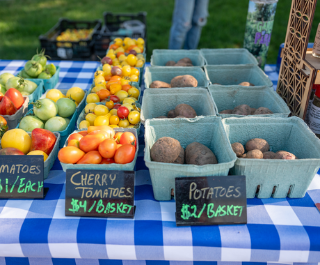 Vegetables are layed out in little blue carton boxes on a table with blue and white checkered table cloth. Green grass is in the background.
