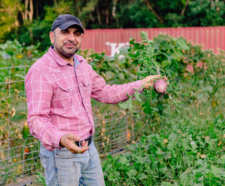 Man in a vegetable garden that is growing well, with large green plants, holding up a rutabaga. Man has light brown skin, is wearing a blue ball cap, a pink plaid long-sleeved shirt, and jeans. 
