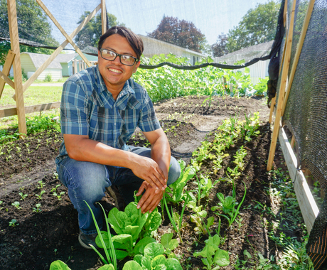 Latino man with glasses, short-sleeved blue plaid shirt and jeans, kneeling between rows of vegetables