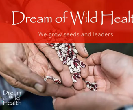 two hands holding seeds
