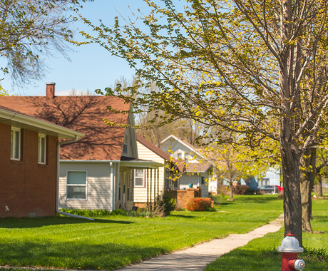 houses in a line with trees by them
