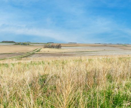 A rural farmland under a blue sky.