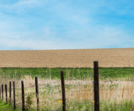 Field with fence posts in the foreground.