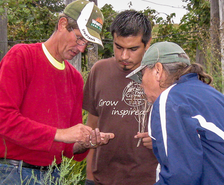 Three individuals looking at seeds in the person to the left's hand.