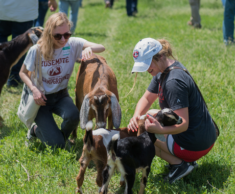 Two young women and goats